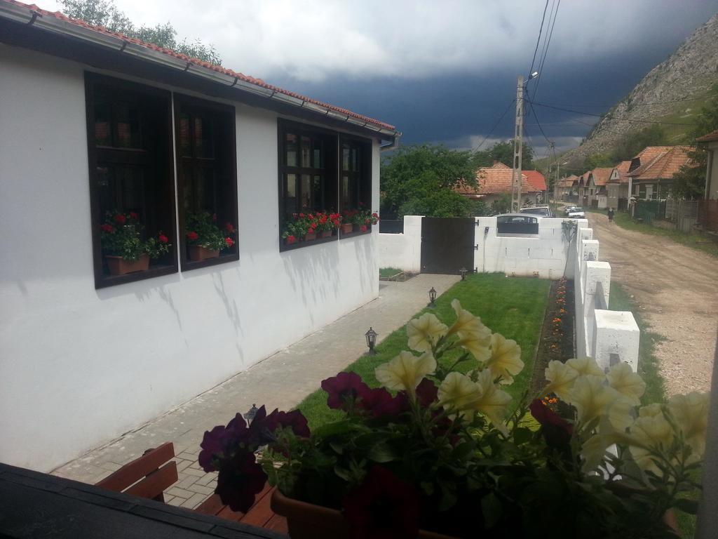 Casa Demeter Hotel Rimetea Bagian luar foto
